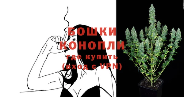 сатива Белоозёрский