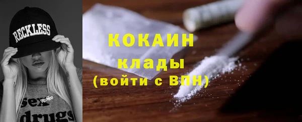 сатива Белоозёрский