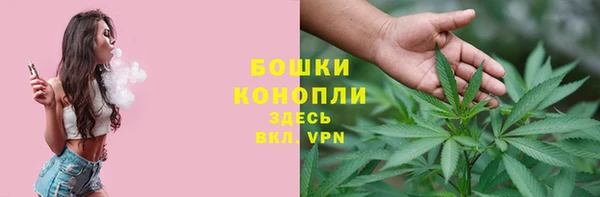 PSILOCYBIN Навашино
