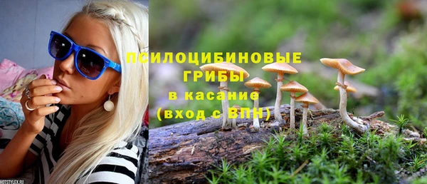 сатива Белоозёрский