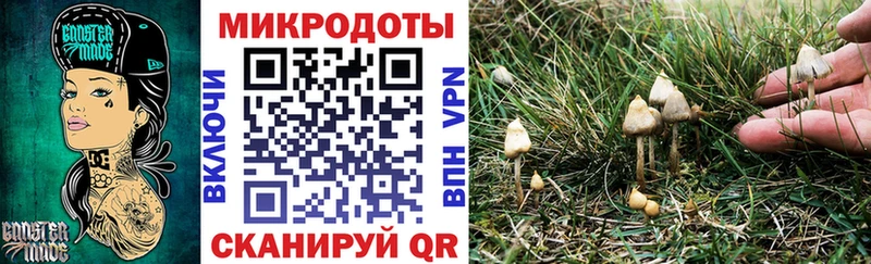 Псилоцибиновые грибы мухоморы blacksprut зеркало Пикалёво