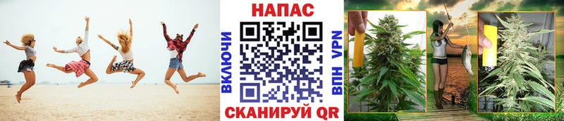 Каннабис SATIVA & INDICA Пикалёво