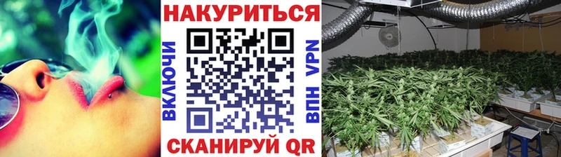 сколько стоит  Пикалёво  МАРИХУАНА Ganja 